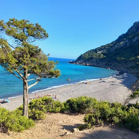 La Corte Dell'elefantino